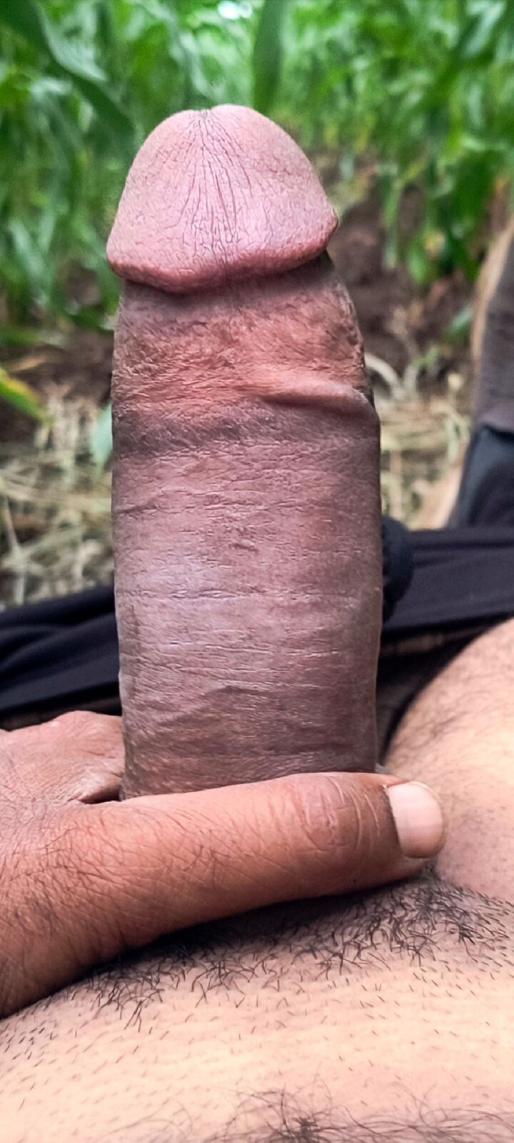 Big penic