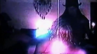 Pamela Anderson and Brett Michaels Sex Tape