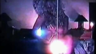 Pamela Anderson and Brett Michaels Sex Tape