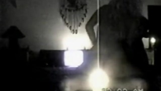 Pamela Anderson and Brett Michaels Sex Tape