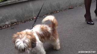 Busty Brunette With Sexy Lingerie Fucked Hard