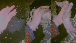 New sex video
