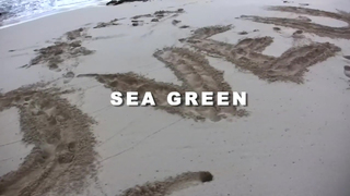 Denise Milani Green Tube Top