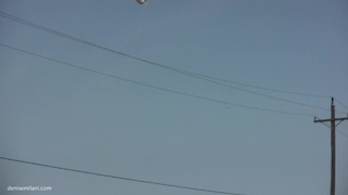 Denise Milani - Brown Piece