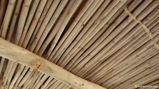 Playboy Adrienn Levai in Scenic Strip Down