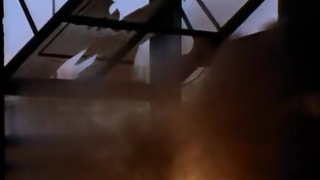 Playboy Wet & Wild III (1991)