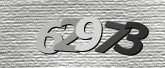 Imagen de seguridad