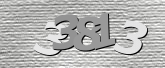 Imagen de seguridad