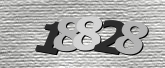Immagine di protezione